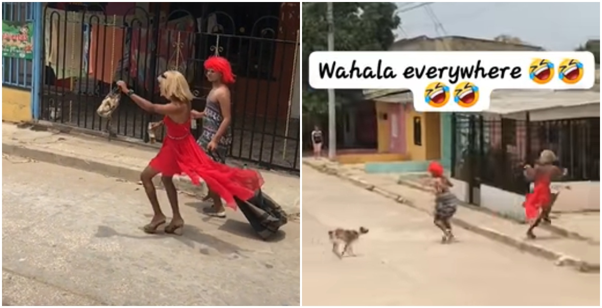 Tiktokers attacked by dog during skit-making
