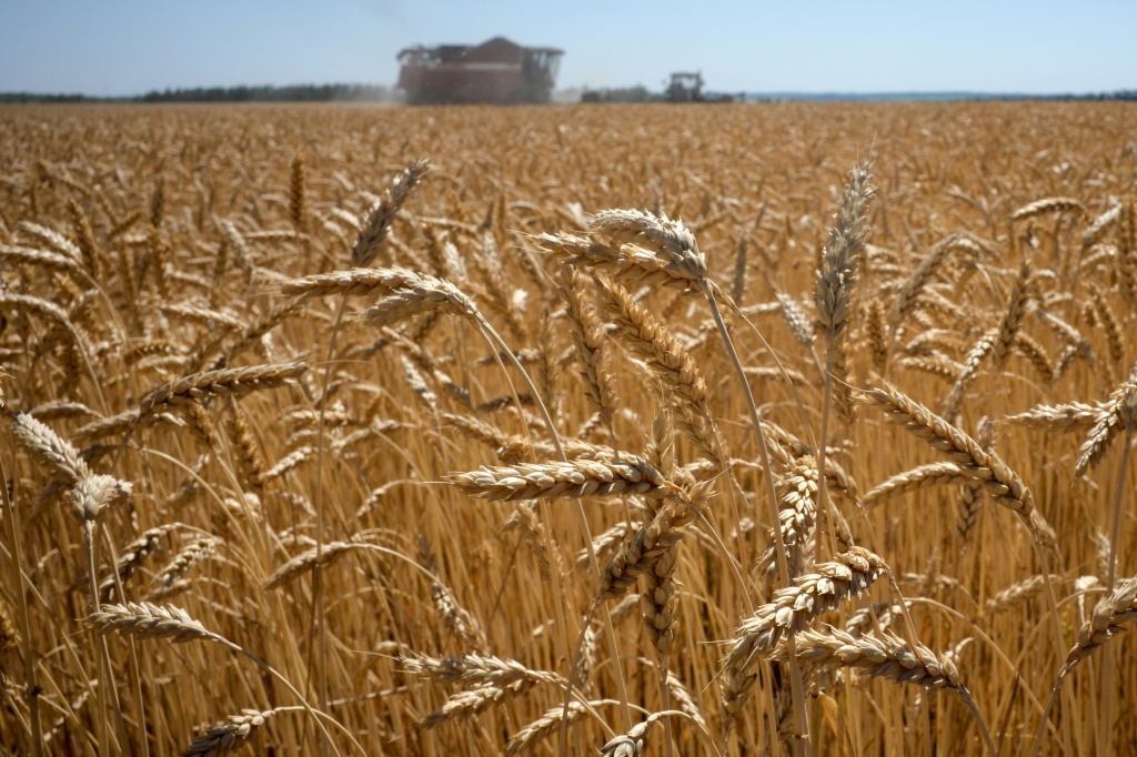Brussels wants to make Russian grain imports into the EU 'unviable'