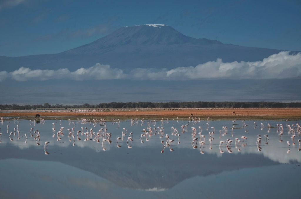 Immortalised in Ernest Hemingway's 'The Snows of Kilimanjaro', the mountain is a UNESCO World Heritage site