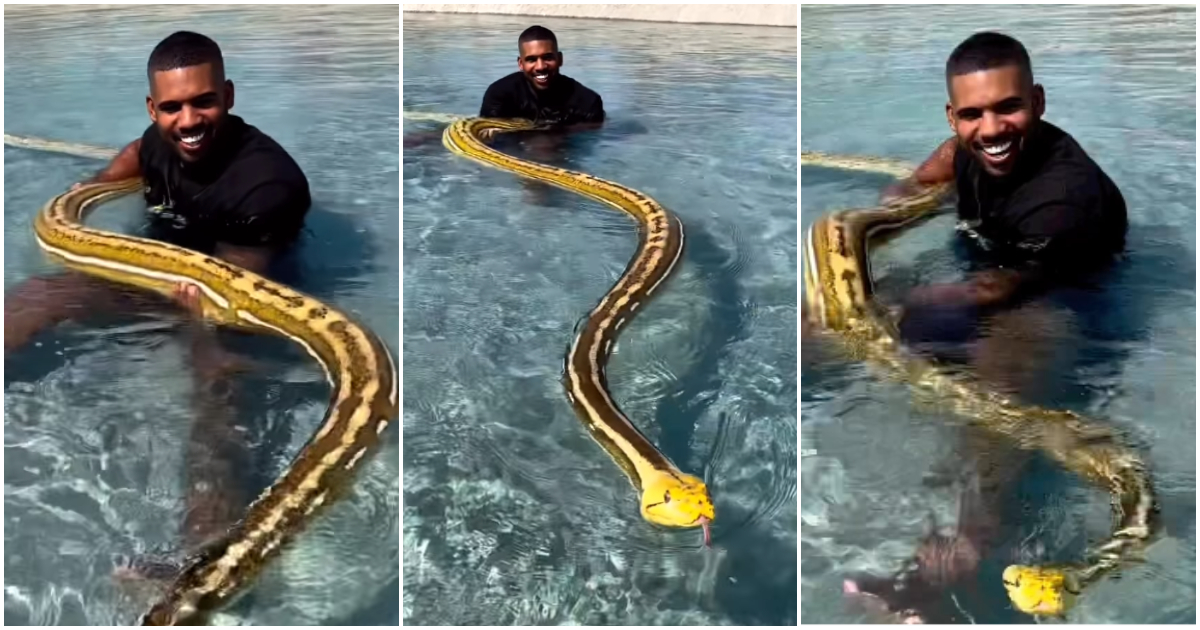 Former US football player Mike Holston swims with a beautiful long snake.