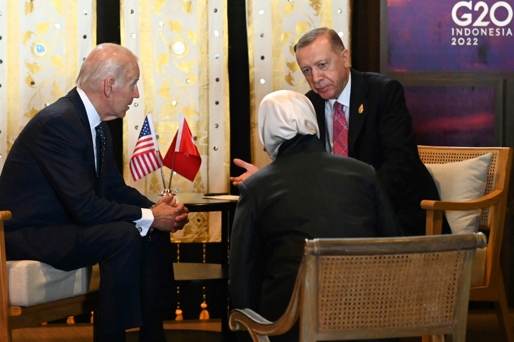 US President Joe Biden and Turkey's President Recep Tayyip Erdogan meet on the sidelines of the G20 in Bali
