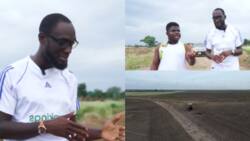 Meet young man who left America to set up 10,000 acre rice farm in Ghana