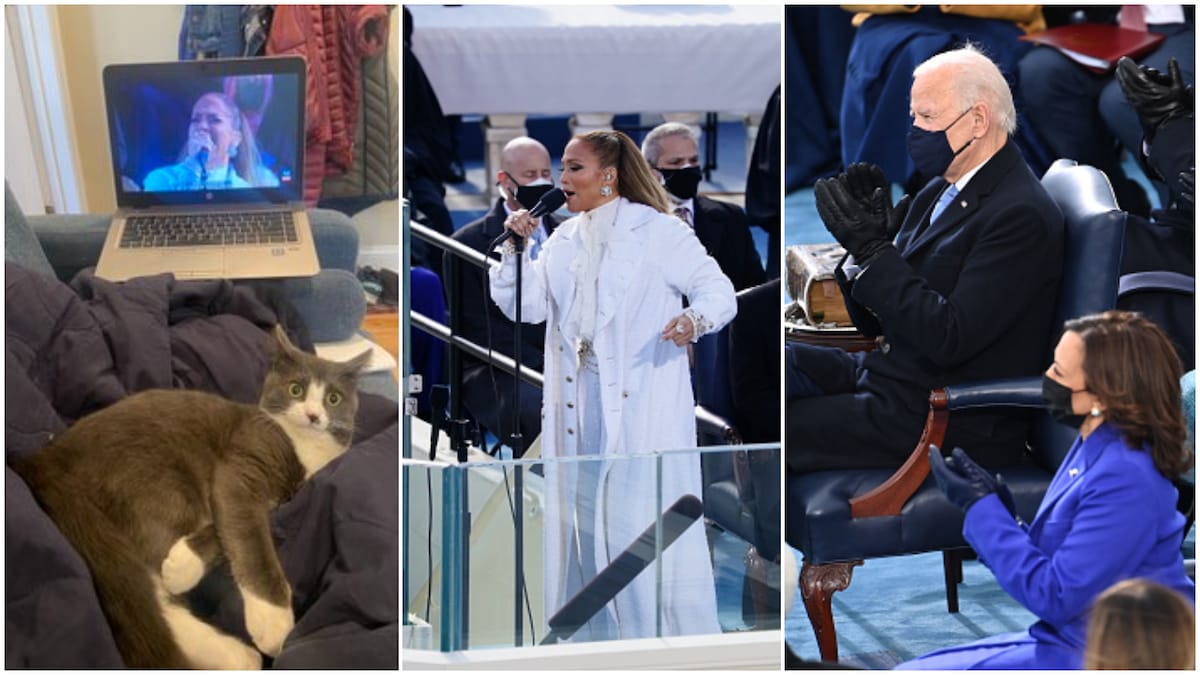See how this cat reacted to Biden inauguration as US president during Jennifer Lopez's peformance