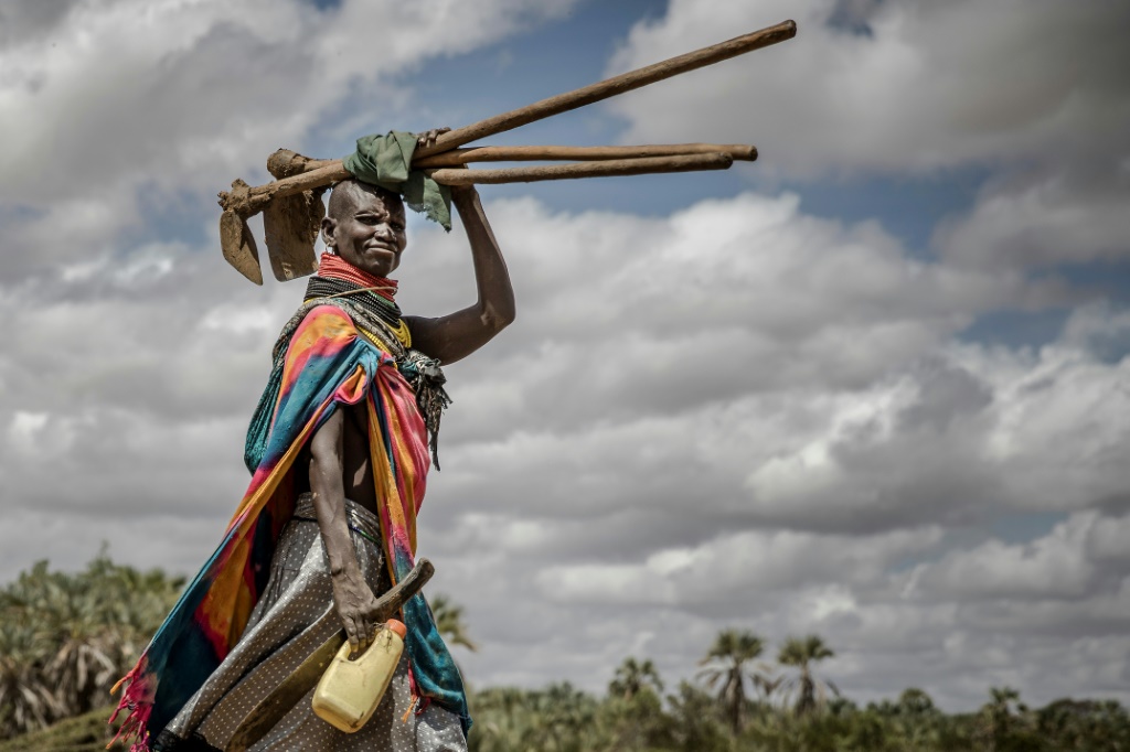 Kenya had banned GM crops over health and safety concerns and to protect small-scale farmers
