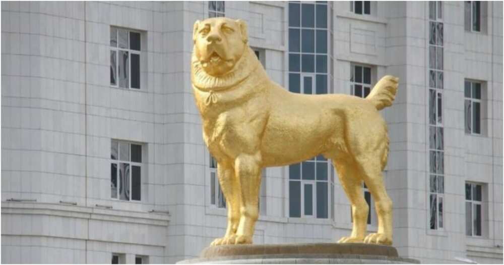 Turkmenistan's president dedicates giant golden statue to his favourite dog breed