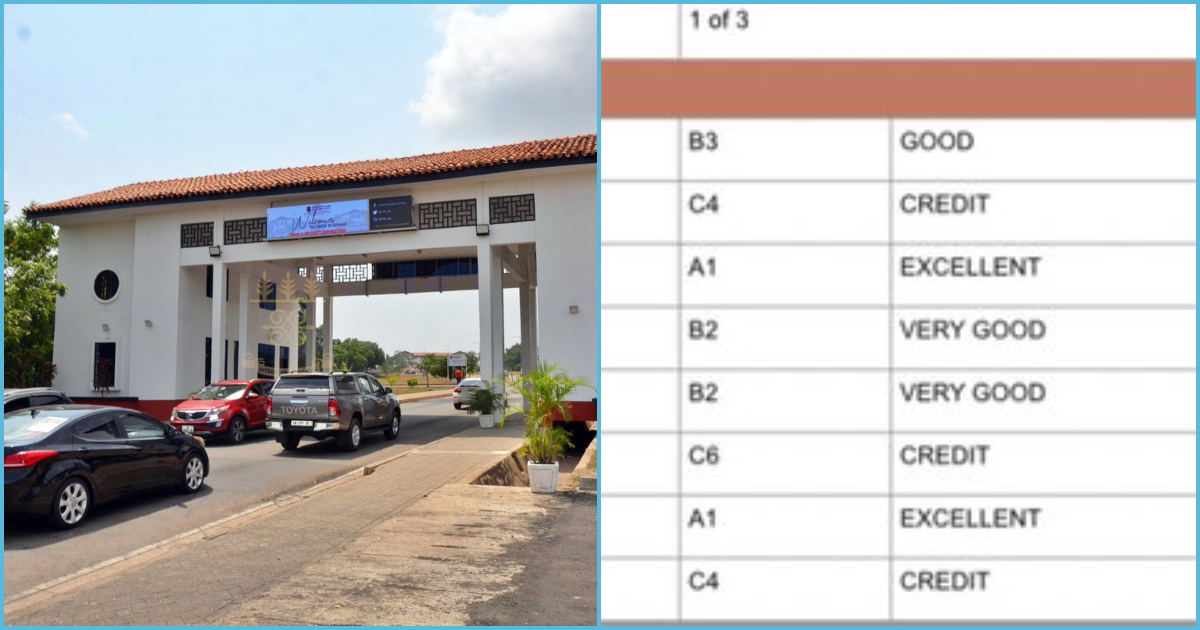 SHS graduate shares photo of WASSCE result slip, asks if he qualifies to attend University of Ghana