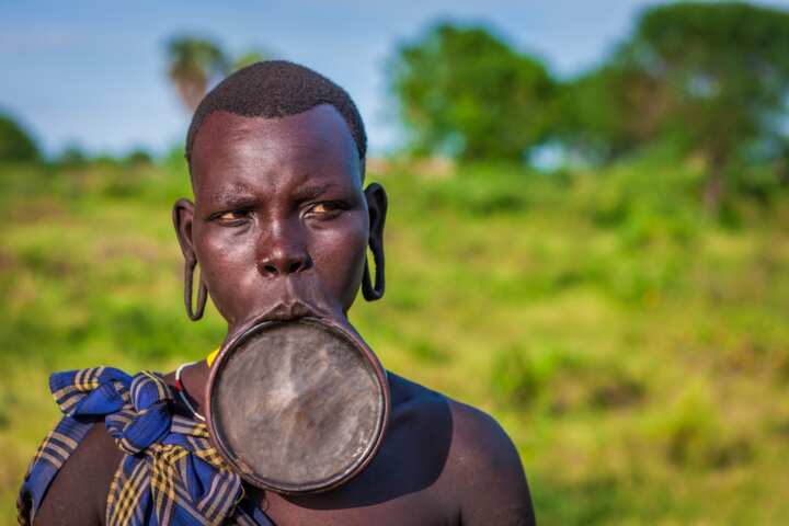 African lip plates: how do they eat? Аll your questions answered - YEN ...
