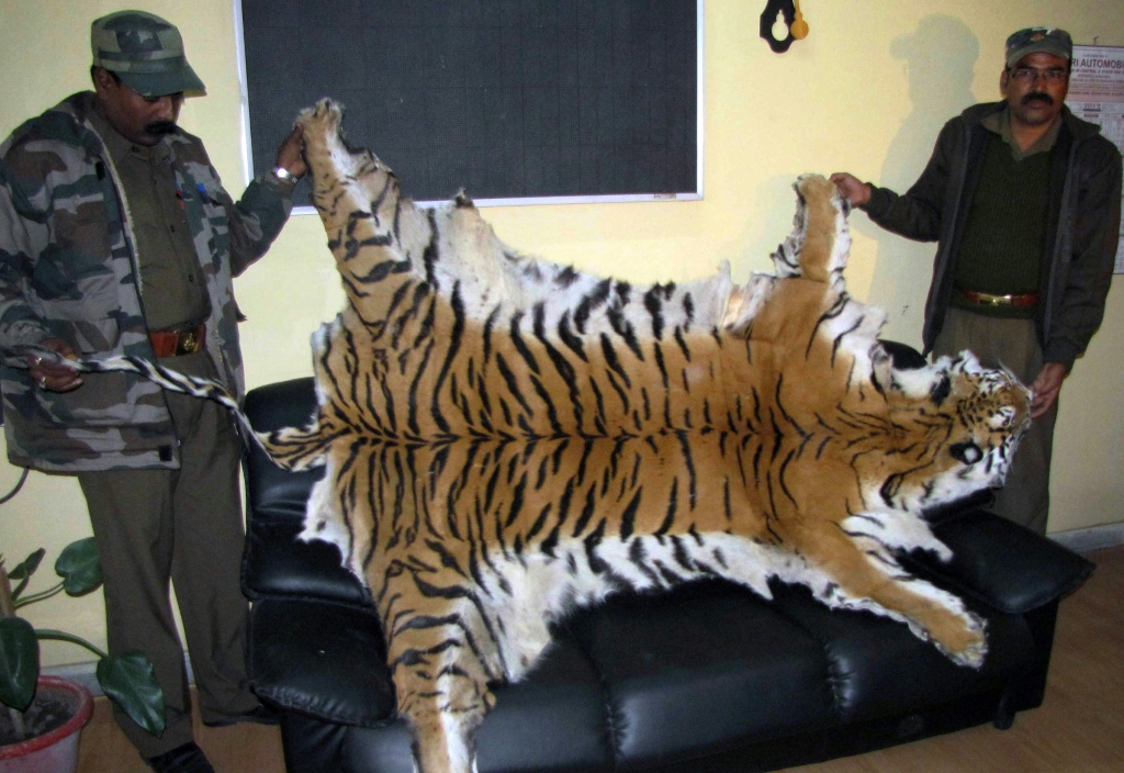 It is hoped the new technology will help law enforcement agencies determine where tiger skins come from and allow them to investigate the transnational networks involved in trafficking tigers