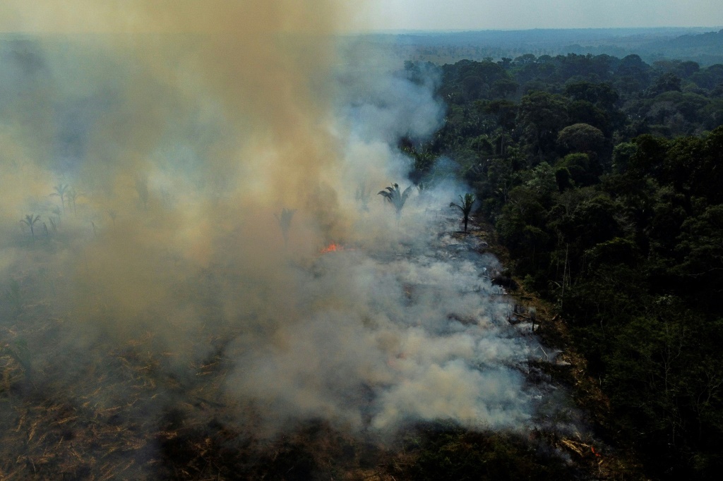 Images of the Amazon burning have fueled international condemnation of a surge in destruction in the world's largest rainforest under Bolsonaro