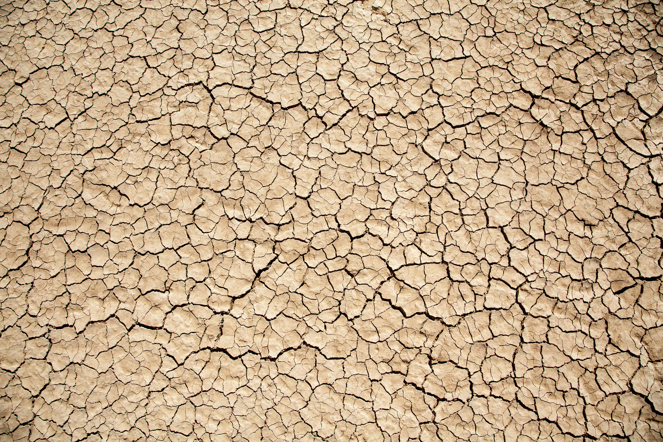 What is the driest desert in the world? The 10 driest ranked