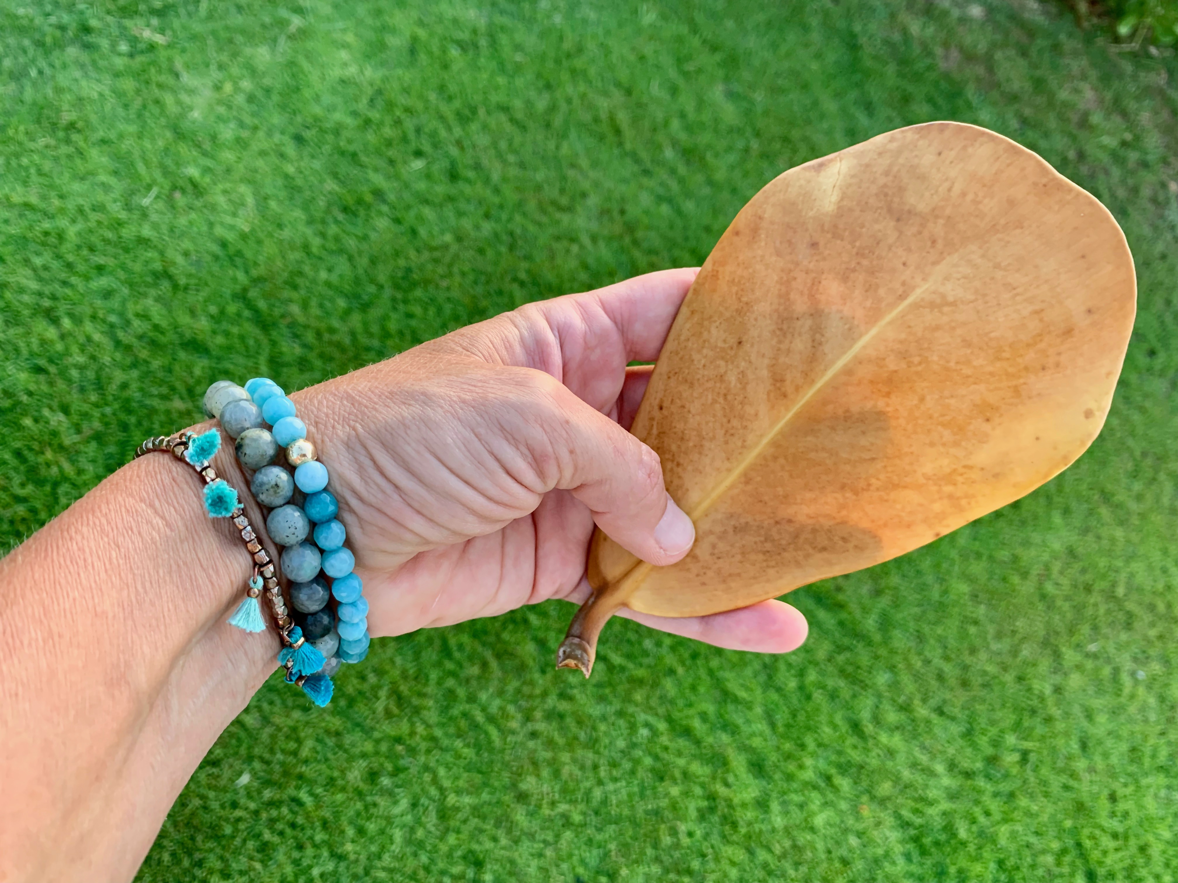 A hand holding a dry leaf displays blue bead bracelets