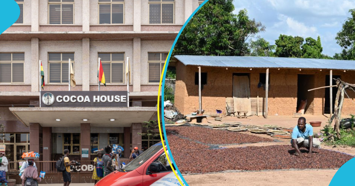 The Ghana Cocoa Board scholarship ends
