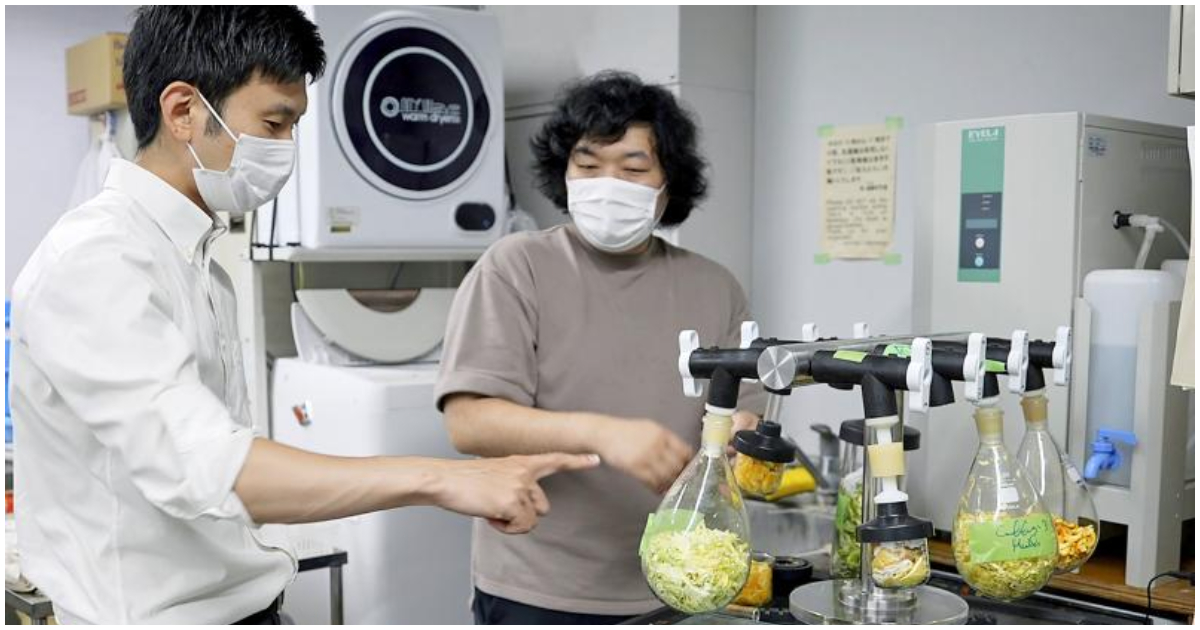 Scientists in Japan turning waste food into edible cement