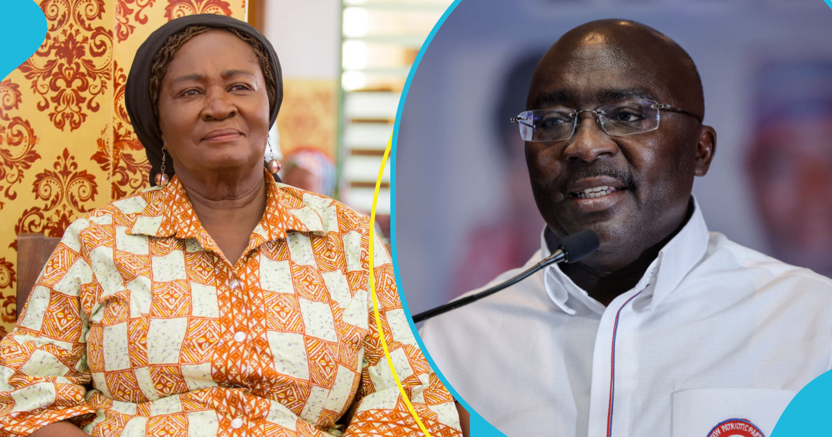 Dr Bawumia's Spokesperson Says Prof Opoku-Agyemang Misconstrued 'Driver's Mate' Analogy