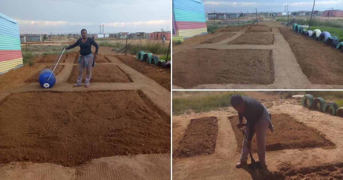 Woman starts vegetable garden in backyard to feed family and community