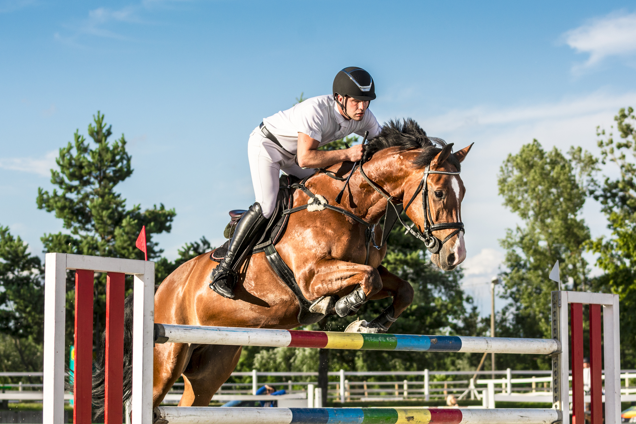 Equestrian rider and horse in action, jumping over a hurdle.