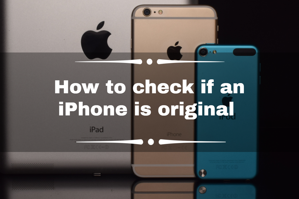 How to check if iPhone is original: simple ways to tell if yours is fake
