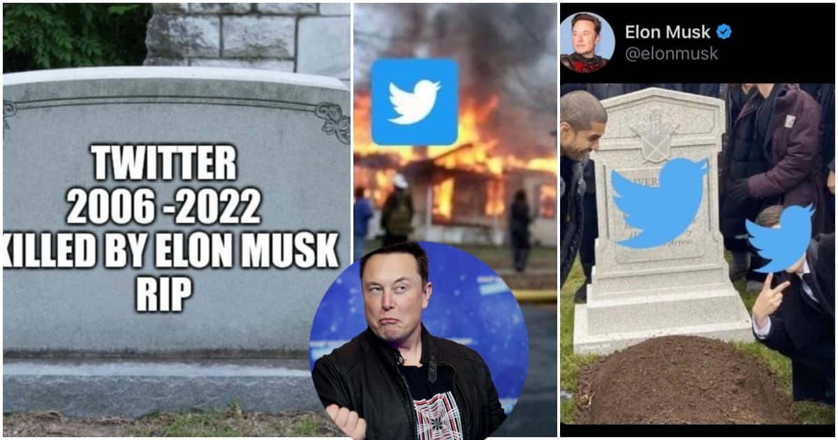 Tweeps concerned after Twitter staff quit their job, Elon Musk unbothered as users bid farewell to app
