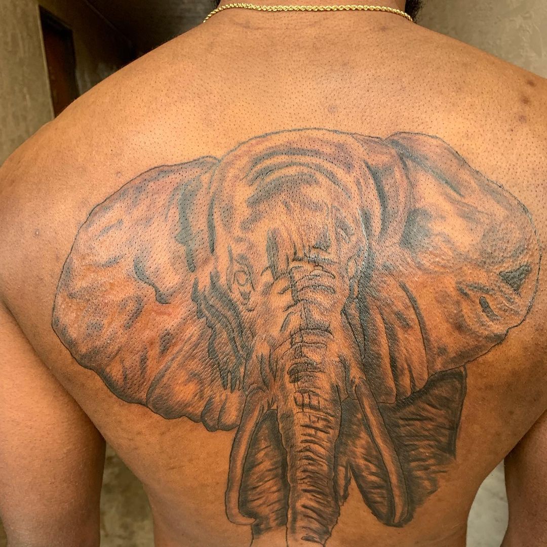 Be brave and Be Happy with Tiger and Elephant Quotes Tattoo Men and Body  Tattoo