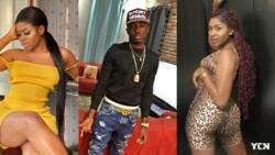 Yaa Jackson and Criss Waddle spark dating rumours; their bed matter hits online
