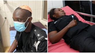 Police share more photos of injured officers; say two undergo emergency surgery