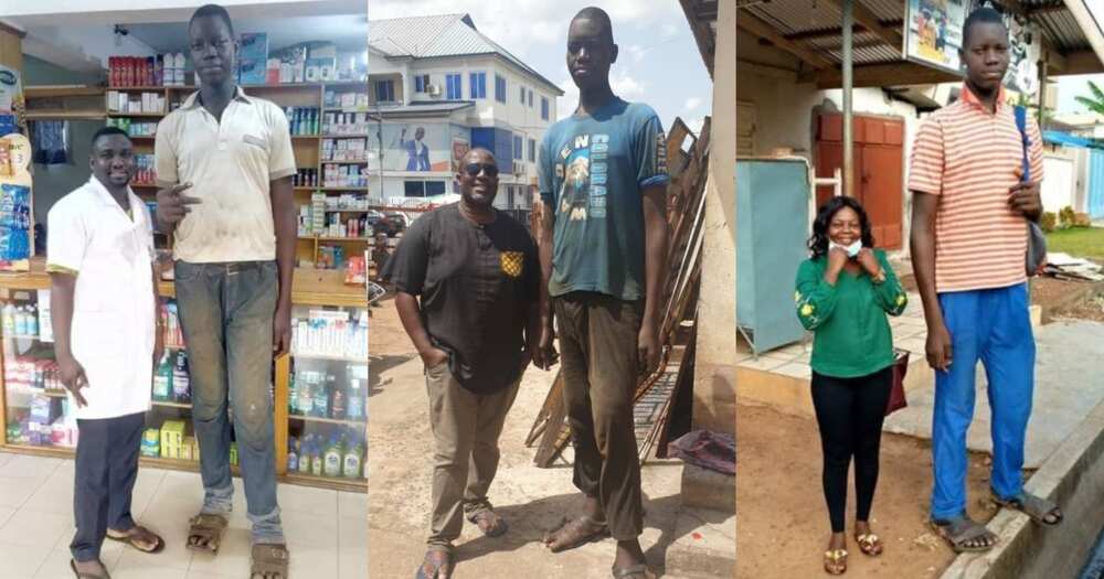 Ghanaians react to photos of young man being touted at Ghana's tallest man