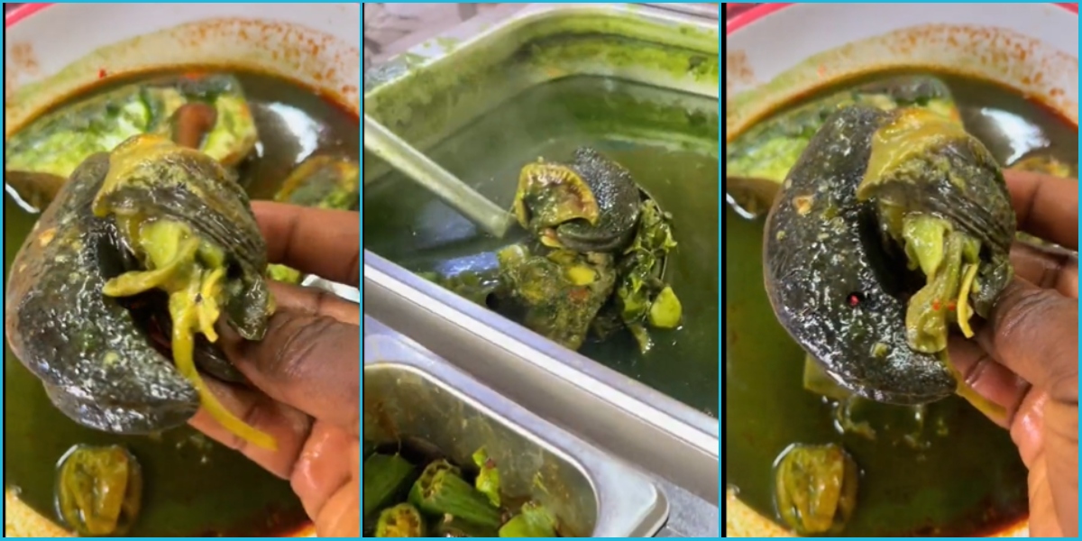 Ghanaian Man Stunned By Price Of Snail, Sparks Online Debate Over Food Costs: “One Snail For GH¢100”