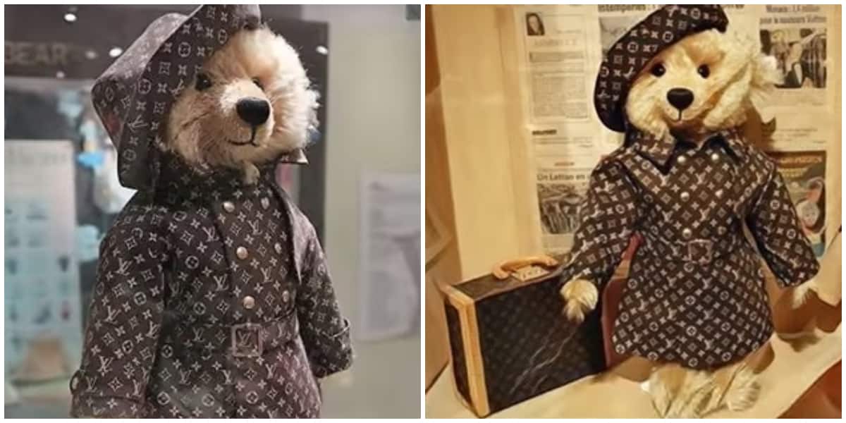 Steiff Louis Vuitton Teddy Bear – $2.1 million Its fur has real gold and  its eyes are made of sapphires and diamonds, that's why …