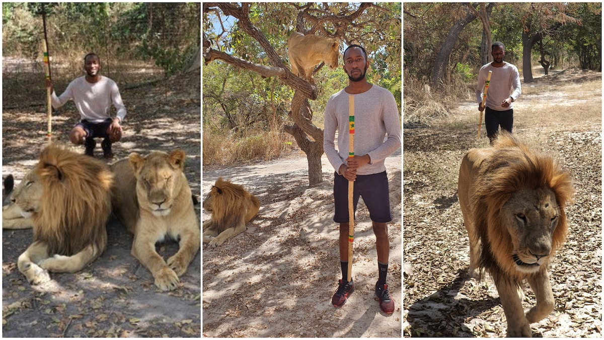 Man stands with lion in photos, says he is conquering his fears
