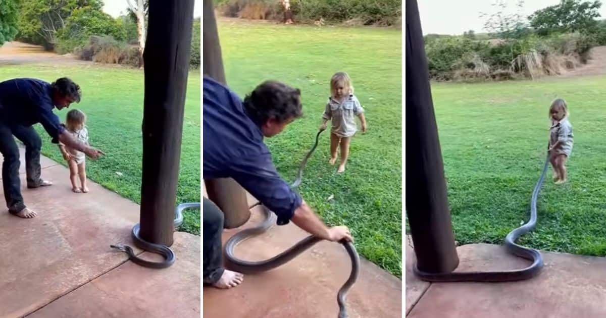 Boy, Dragging Snake, Australia, South Africa
