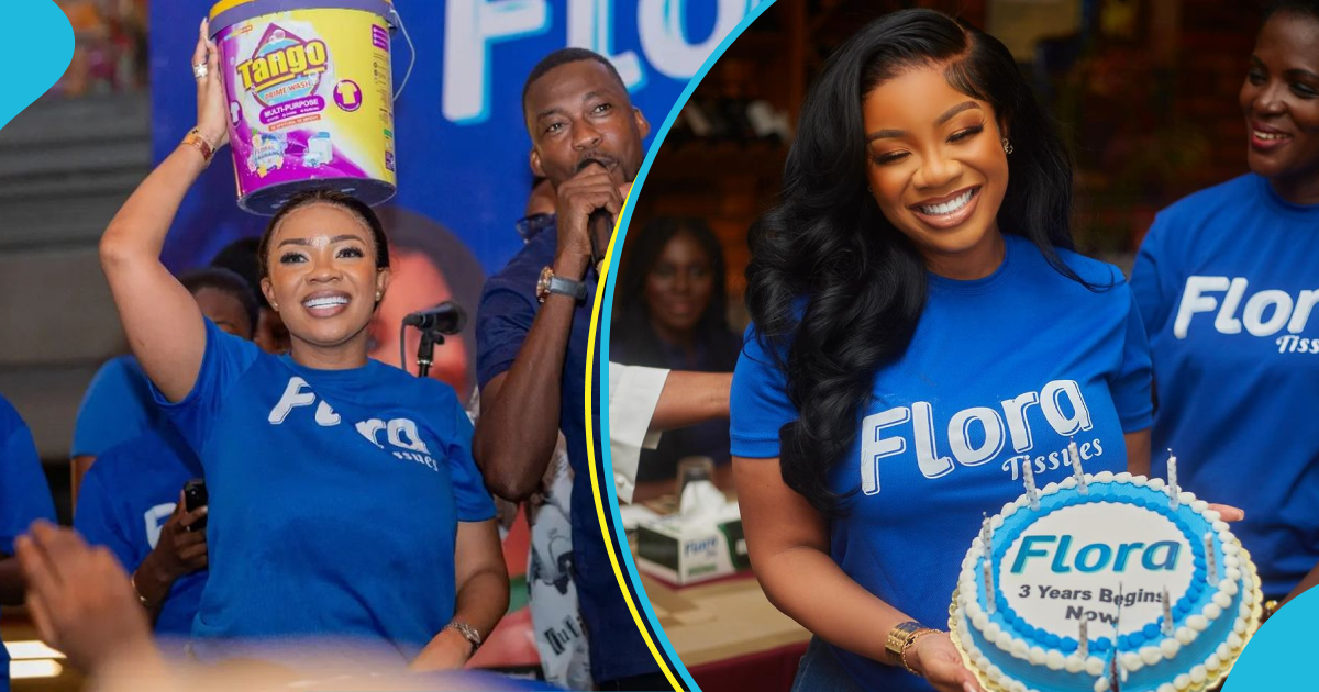 Serwaa Amihere: Flora Tissues hail their brand ambassador amidst Henry Fitz scandal, drop oil painting of her