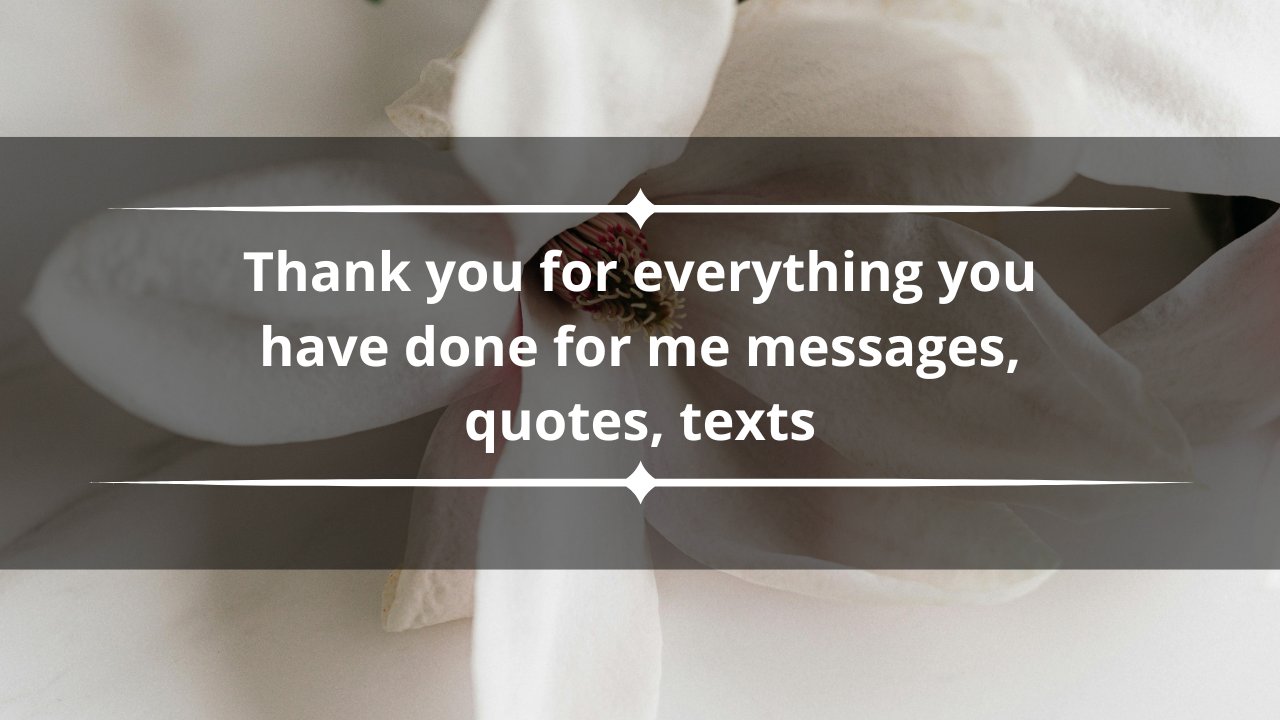 Thank you for everything you have done for me messages, quotes, texts