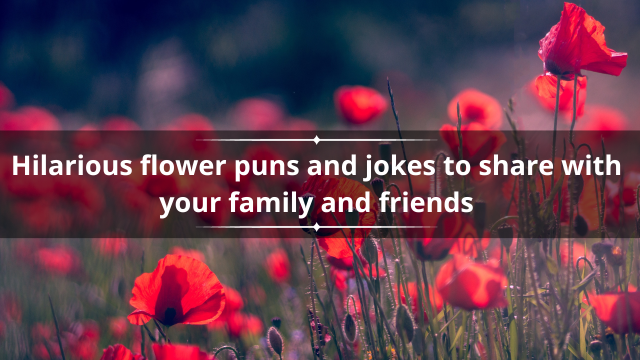 50 Hilarious flower puns and jokes to share with your family and friends