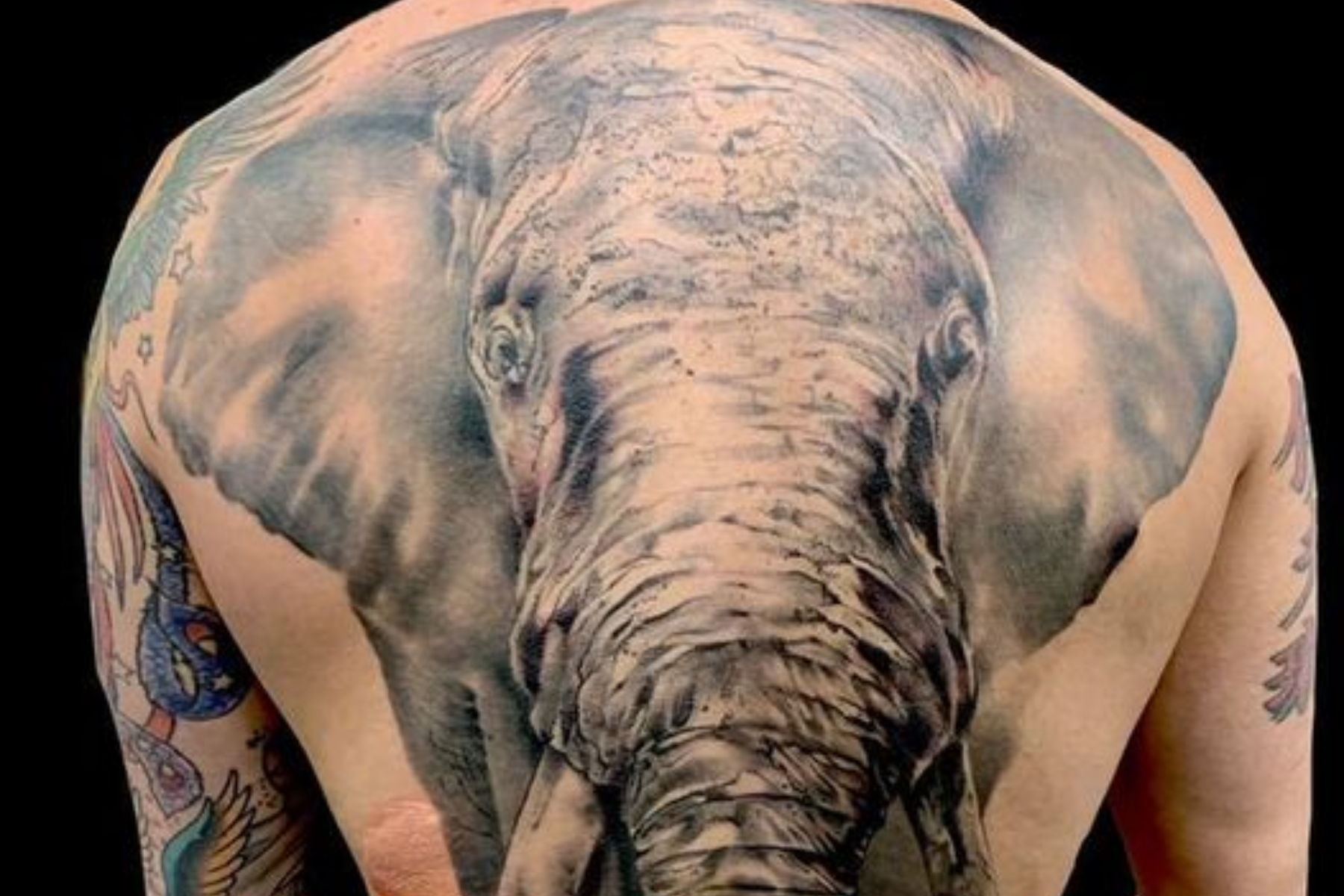 A man is wearing an elephant tattoo on his upper back