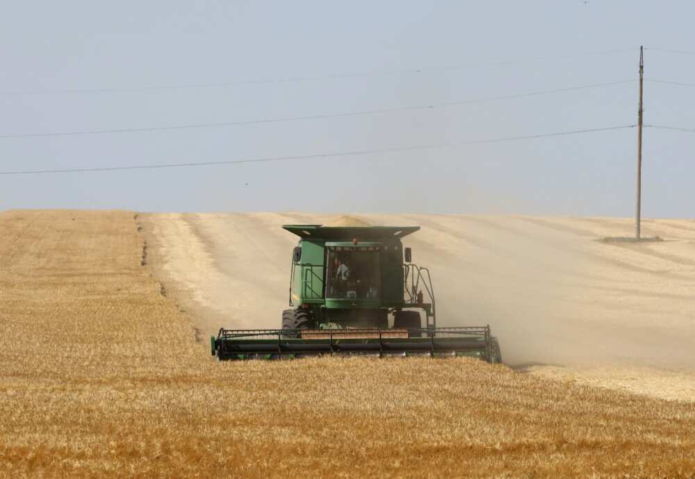 A Ukrainian farmer harvests wheat in June near Izmail in far the southwest of the country, in territory still controlled by Kyiv.
