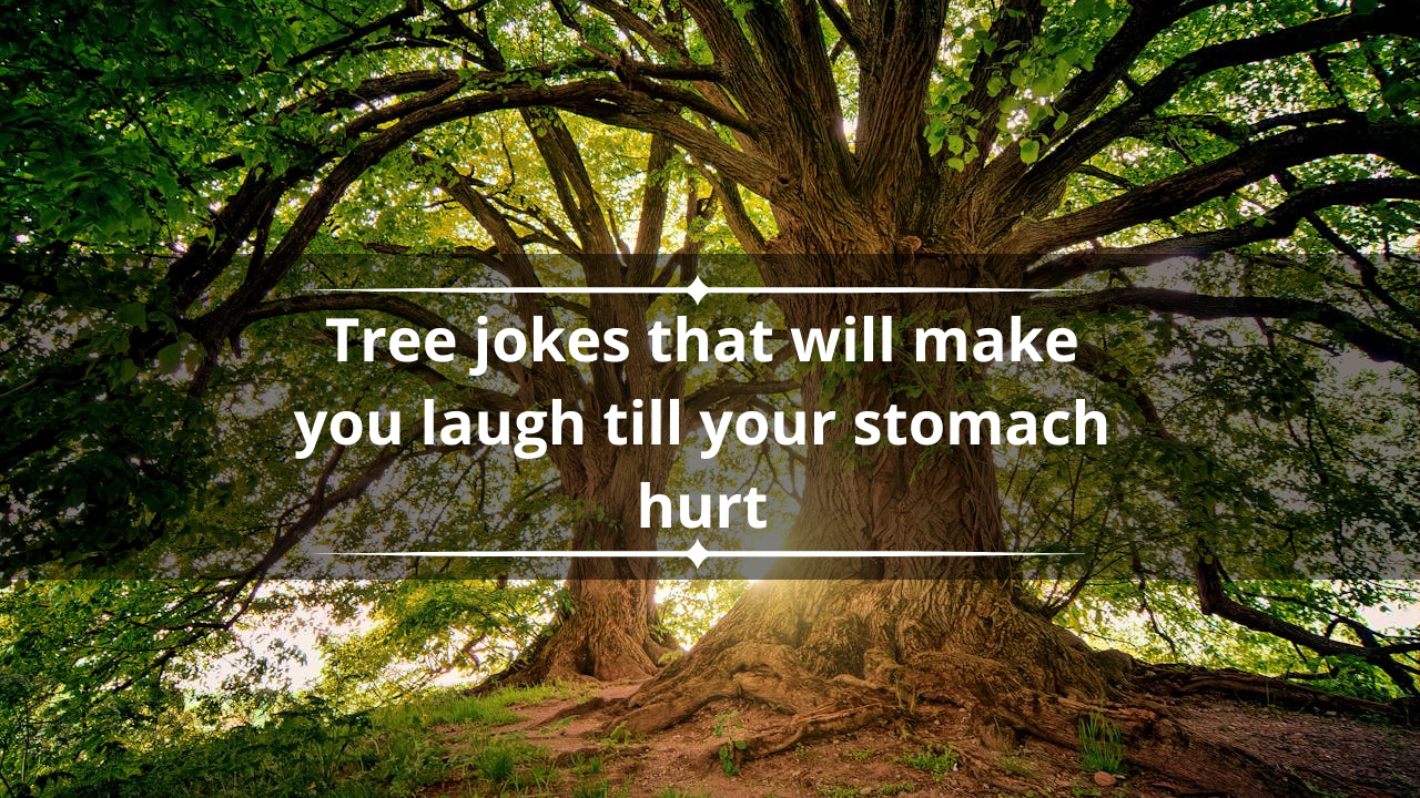 Tree jokes