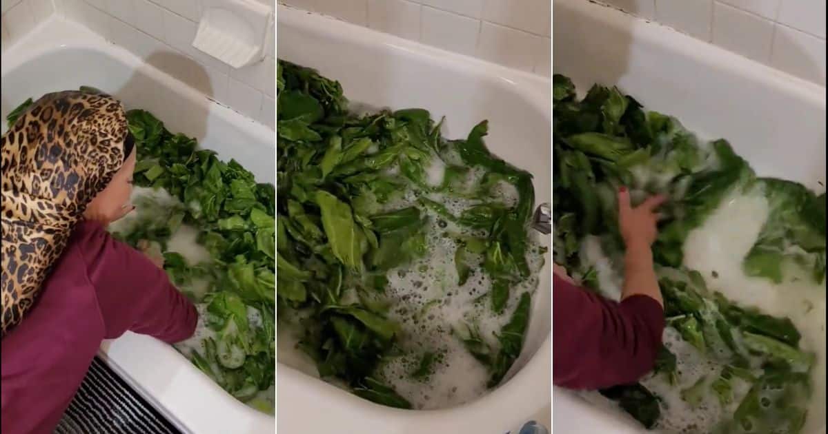 Woman washing greens in bathtub