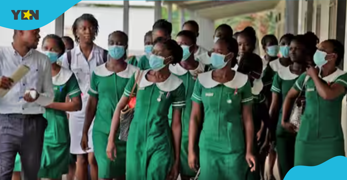 Nurses' Foreign Verification Fee Maintained At GH¢550 Despite Upward Adjustment Of Other Fees