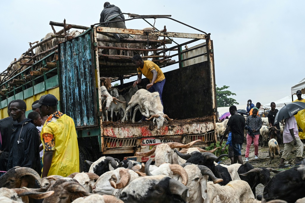 Ivory Coast has launched livestock projects in the north to increase national production