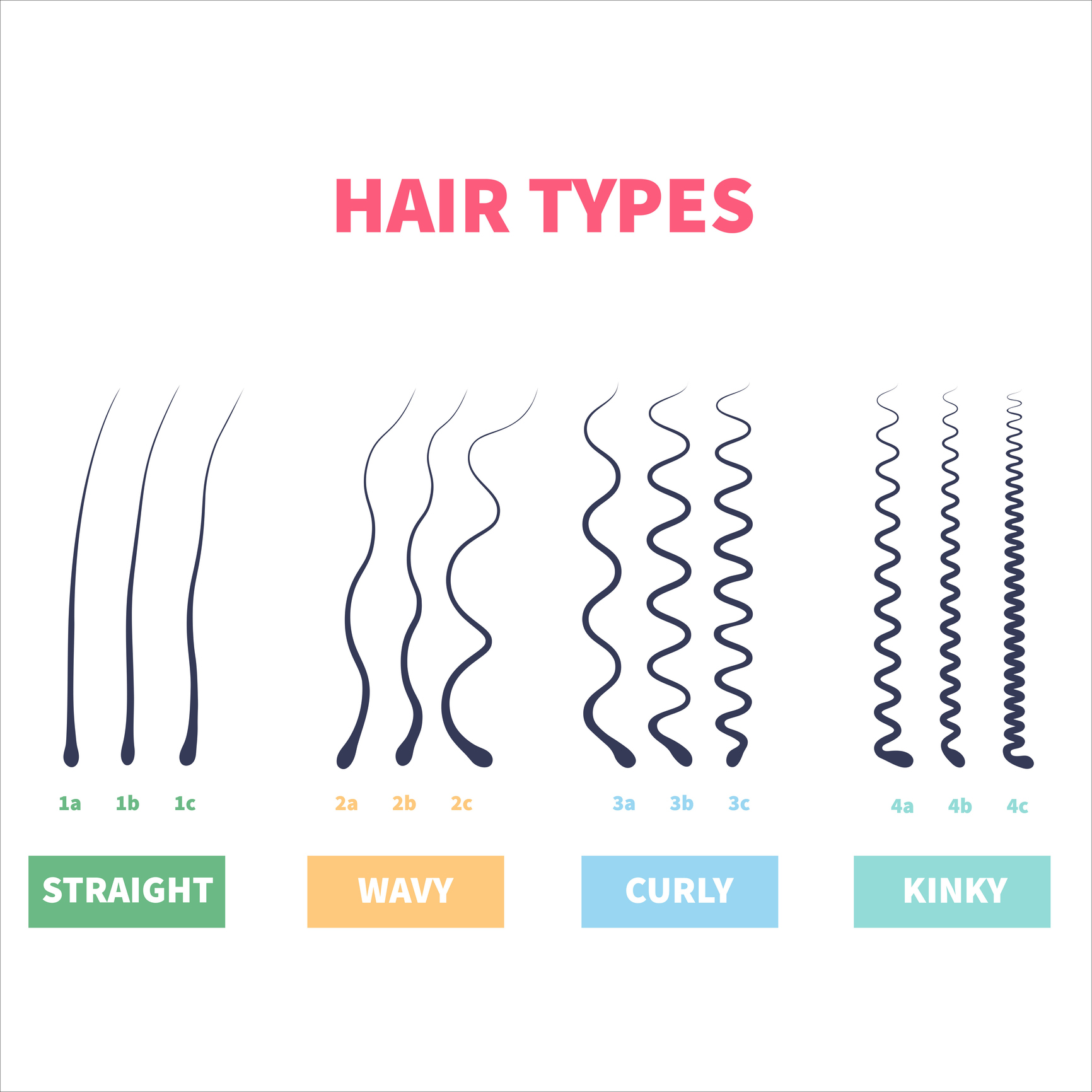 Hair texture chart