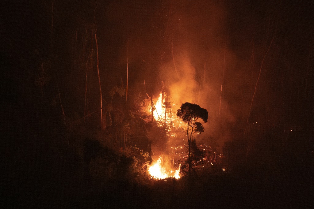 View of a burnt area in the Amazon rainforest in the region of Candeias do Jamari, Rondonia state, northern Brazil, on September 2, 2022