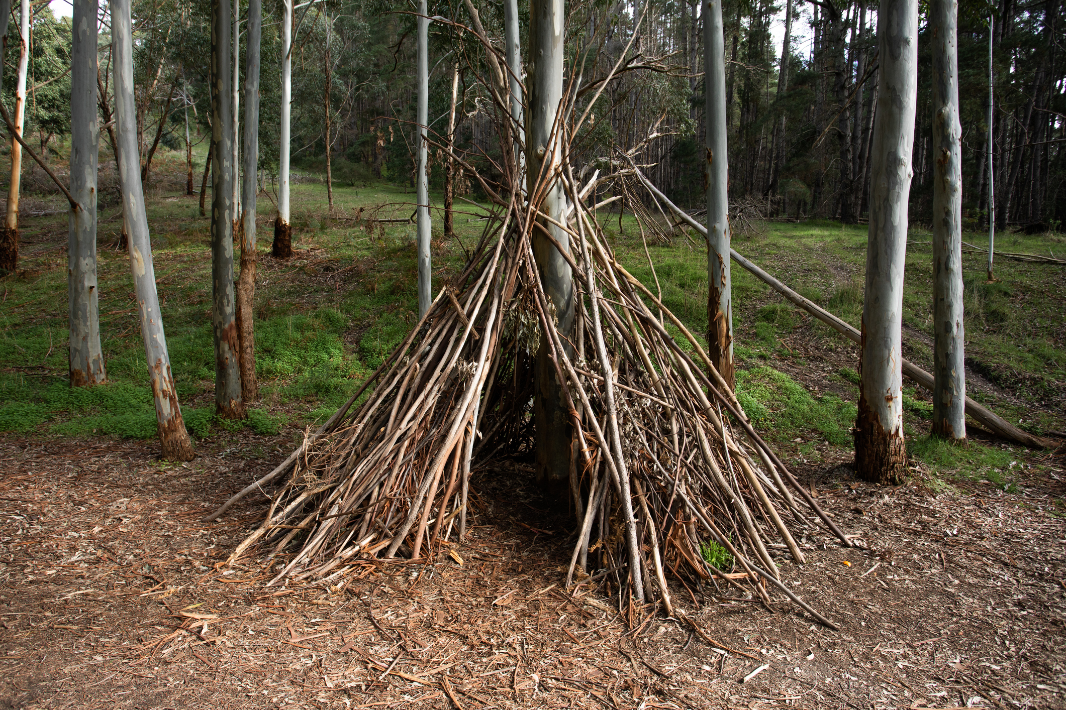 A wooden shelter in the forest in Fleurieu Peninsula, South Australia.