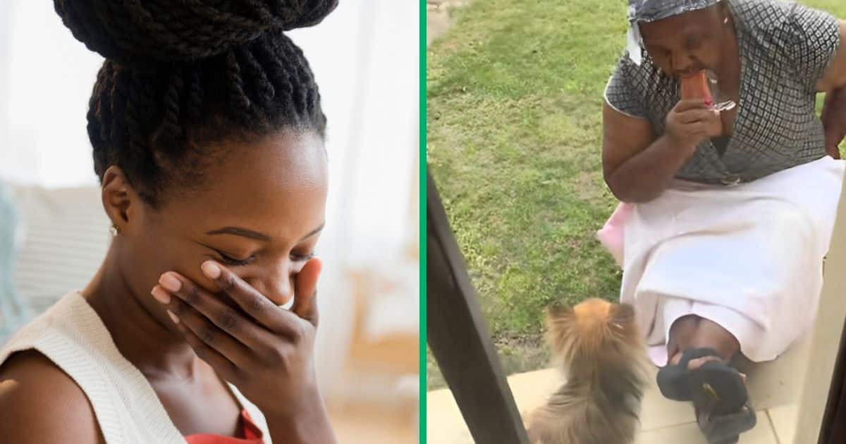 A granny fed her pet dog an ice lolly and the TikTok video amused SA people