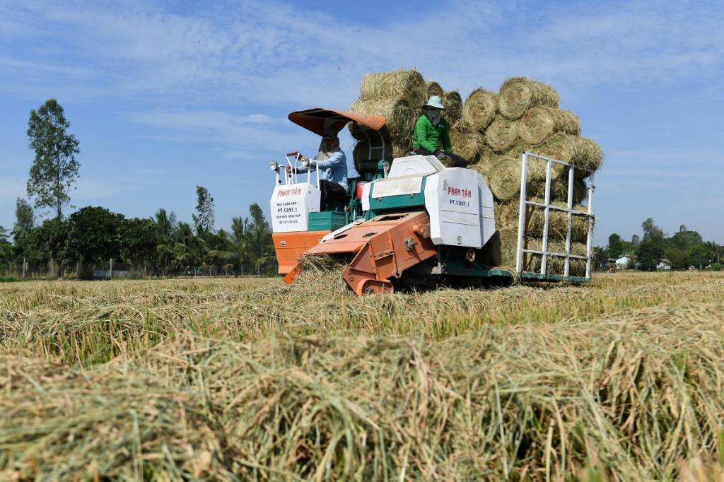 Farmers use a roller to collect straw in a field in Can Tho