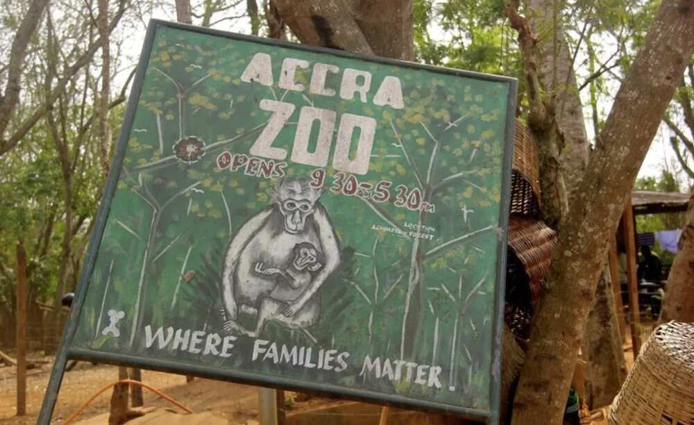 Accra Zoo
