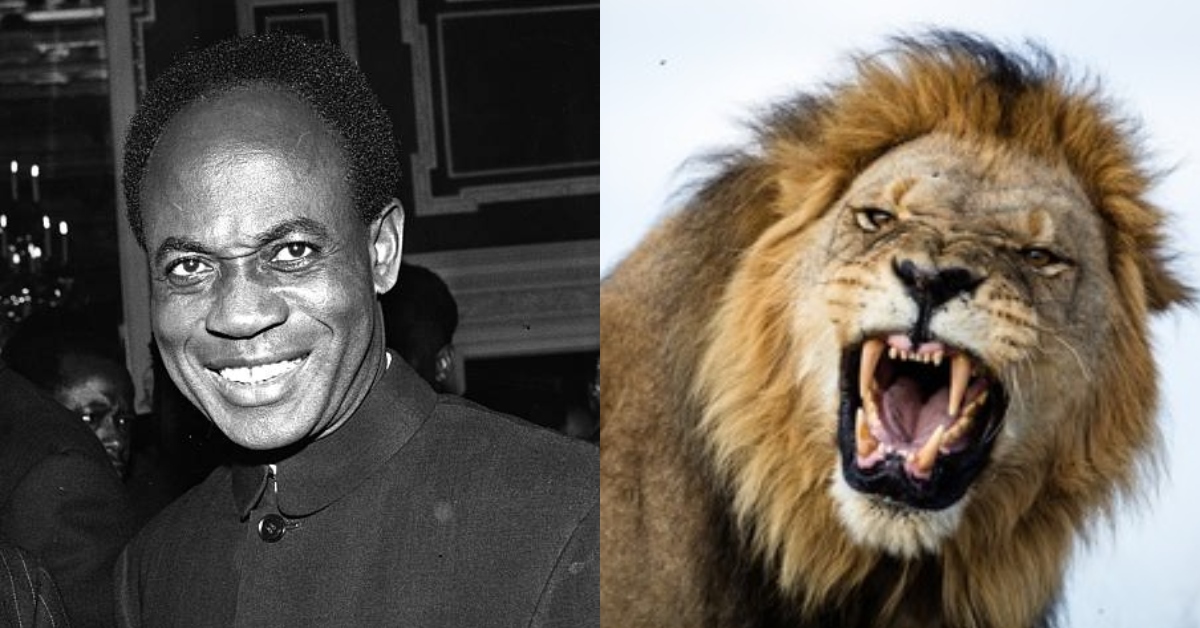 Video of Dr Kwame Nkrumah playing with a live lion shows he was a hard guy