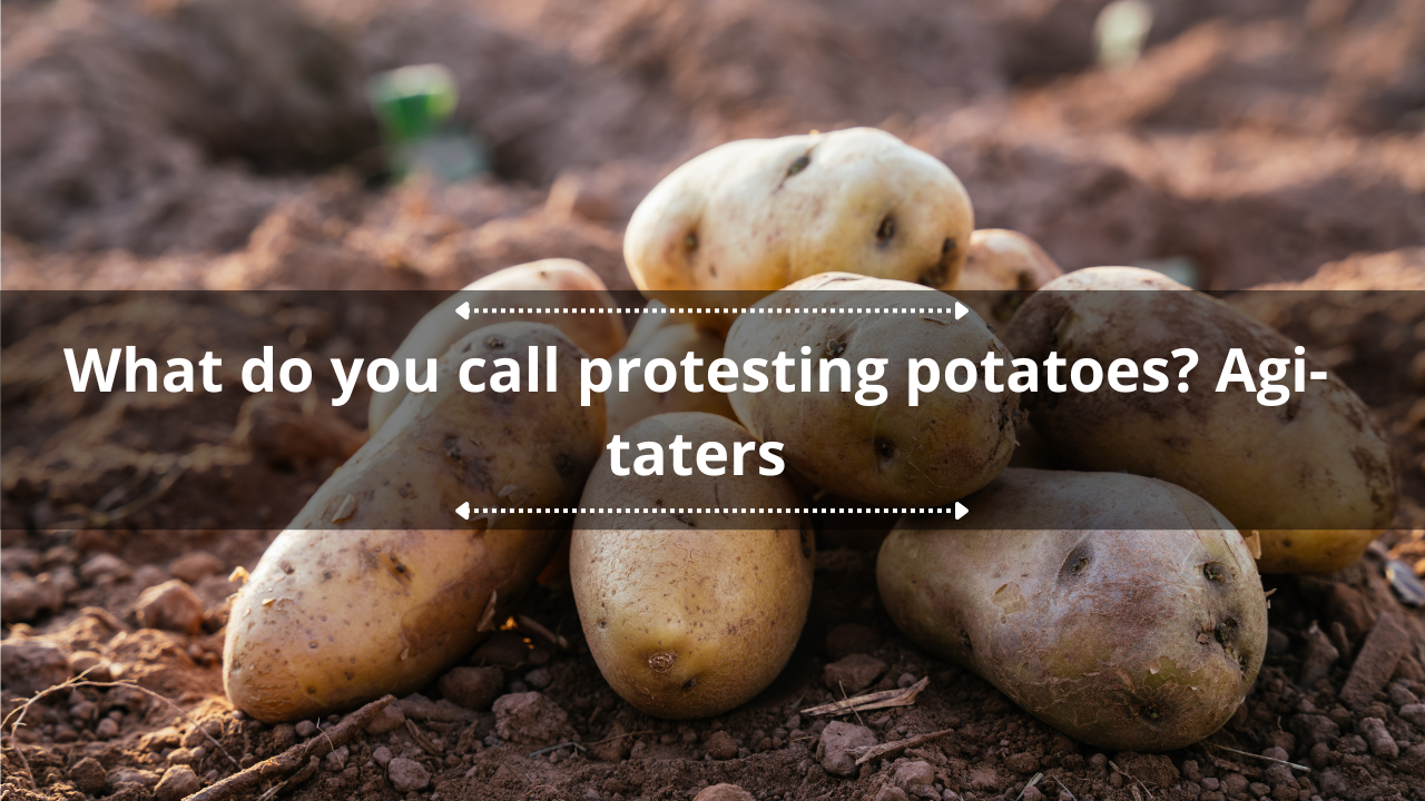Potato puns