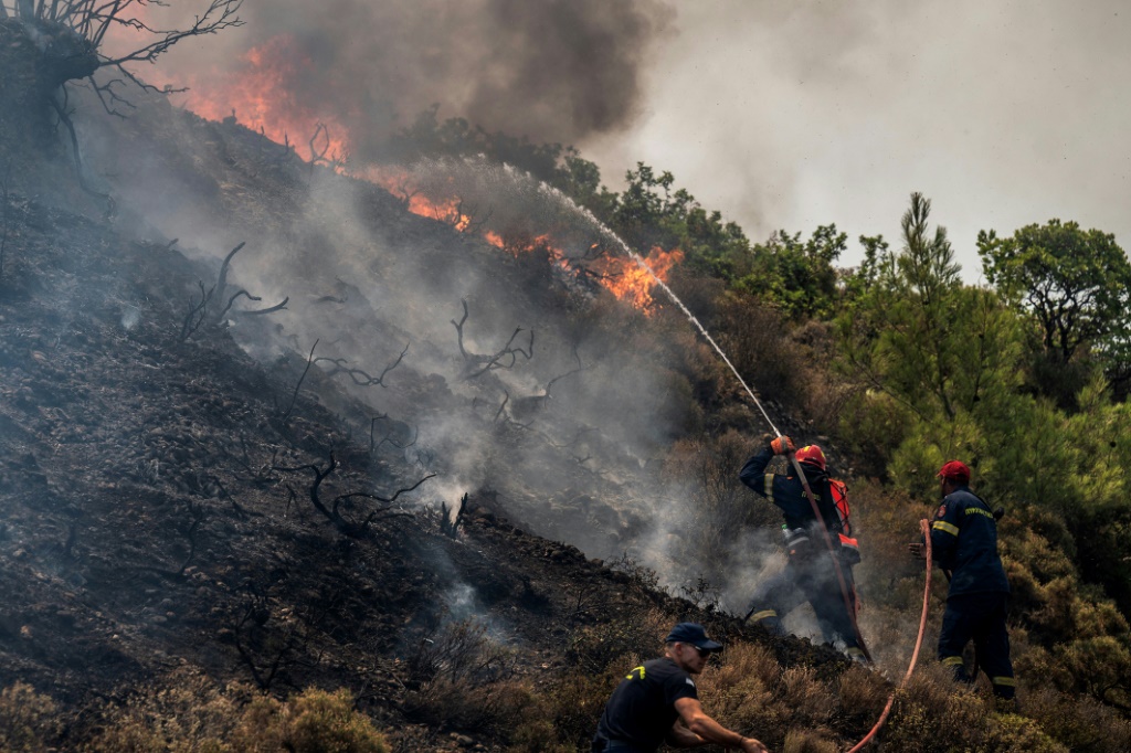 Much of Europe has been hit by a heatwave and wildfires