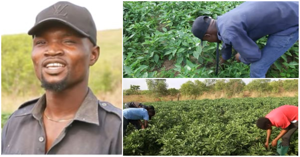 Man builds house and buys land from farming vegetables in Ghana