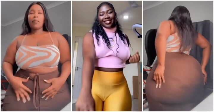 Pretty ladies show off their curvy looks and dance moves.